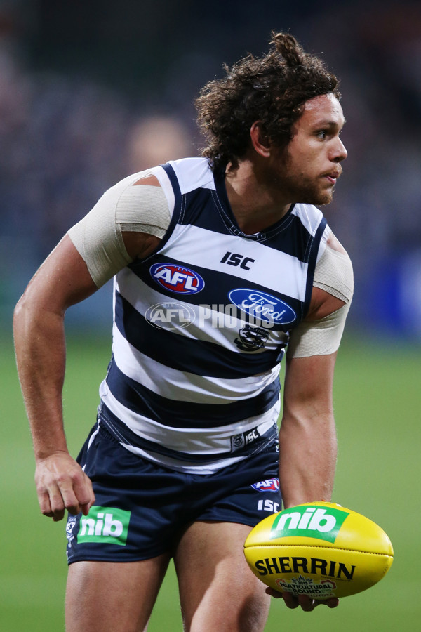 AFL 2015 Rd 19 - Geelong v Sydney - 394834