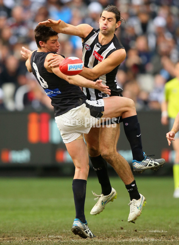 AFL 2015 Rd 19 - Collingwood v Carlton - 394693