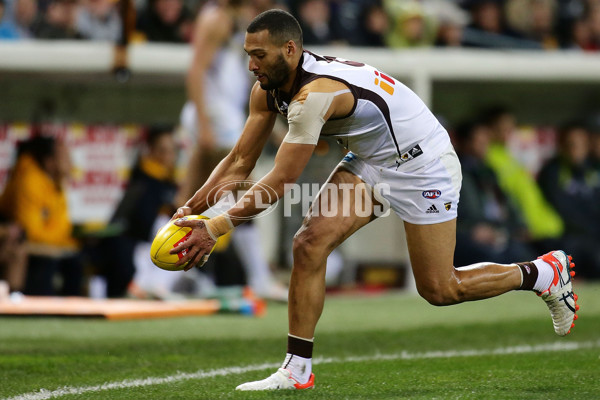 AFL 2015 Rd 19 - West Coast v Hawthorn - 394865