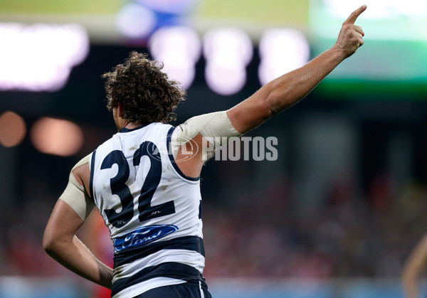 AFL 2015 Rd 19 - Geelong v Sydney - 394911