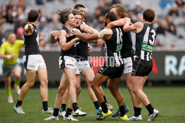 AFL 2015 Rd 19 - Collingwood v Carlton - 394415