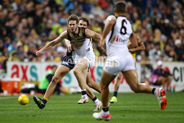 AFL 2015 Rd 19 - West Coast v Hawthorn - 394864