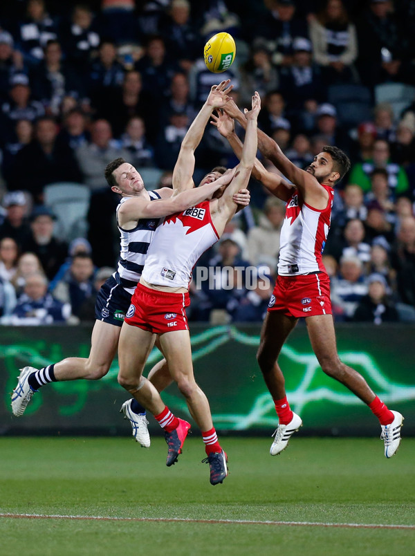 AFL 2015 Rd 19 - Geelong v Sydney - 394615