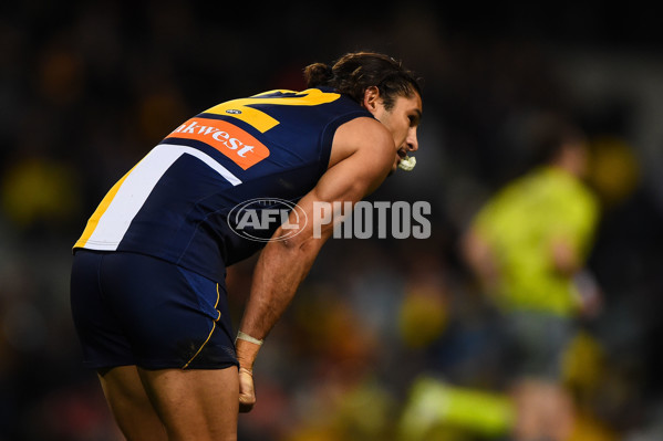 AFL 2015 Rd 19 - West Coast v Hawthorn - 394793