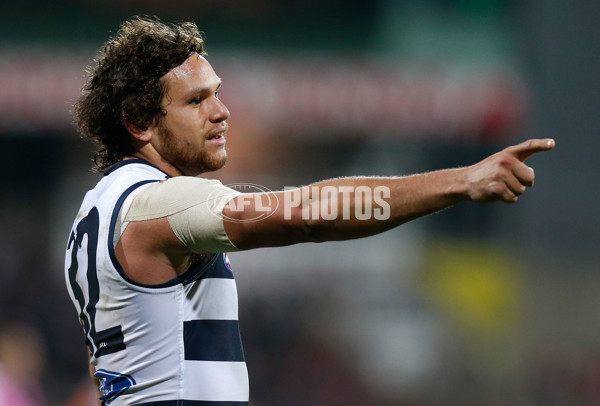 AFL 2015 Rd 19 - Geelong v Sydney - 394909