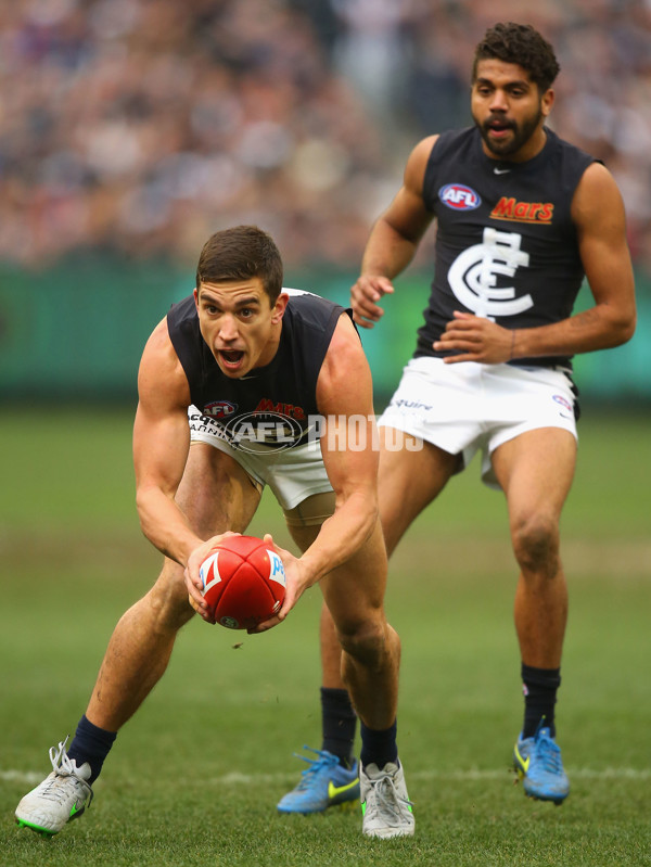 AFL 2015 Rd 19 - Collingwood v Carlton - 394181