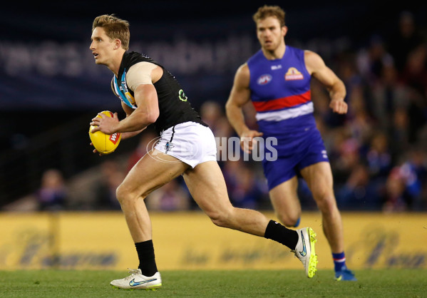 AFL 2015 Rd 19 - Western Bulldogs v Port Adelaide - 394229