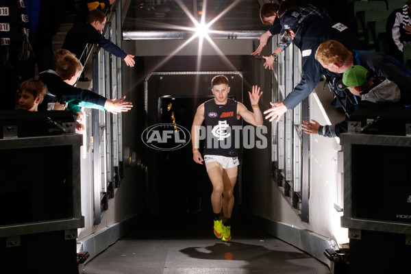 AFL 2015 Rd 19 - Collingwood v Carlton - 394255