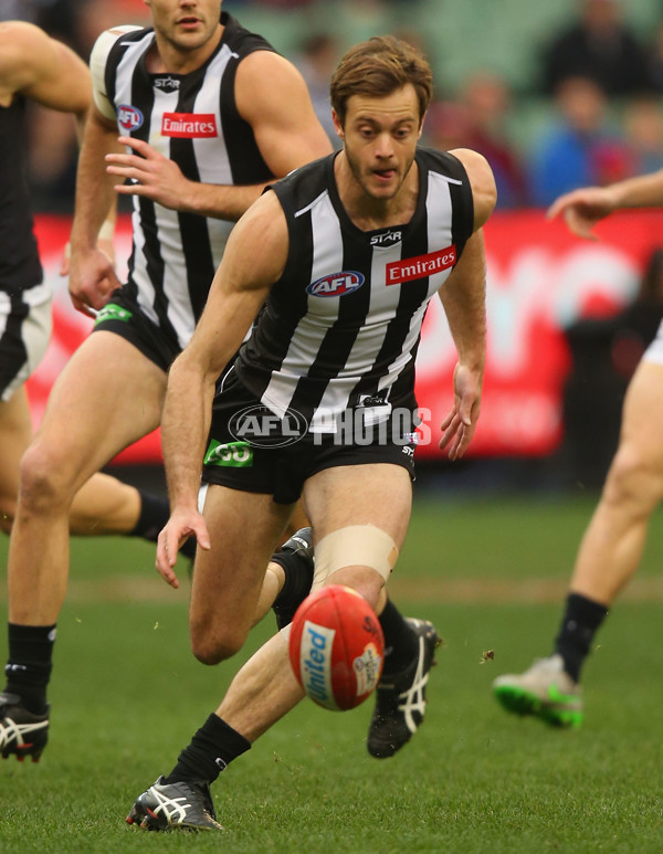 AFL 2015 Rd 19 - Collingwood v Carlton - 394171