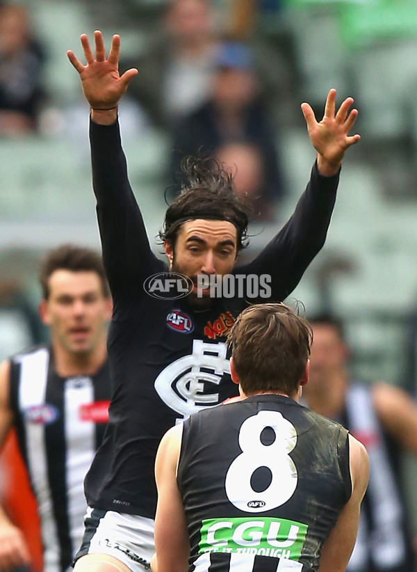 AFL 2015 Rd 19 - Collingwood v Carlton - 394218