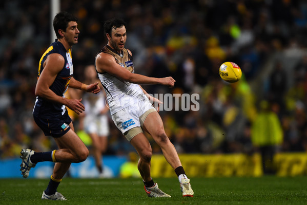 AFL 2015 Rd 19 - West Coast v Hawthorn - 394791
