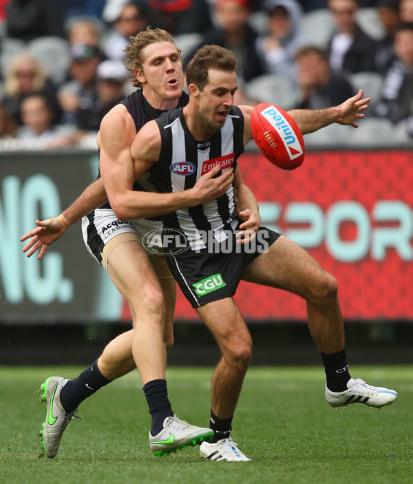 AFL 2015 Rd 19 - Collingwood v Carlton - 394221