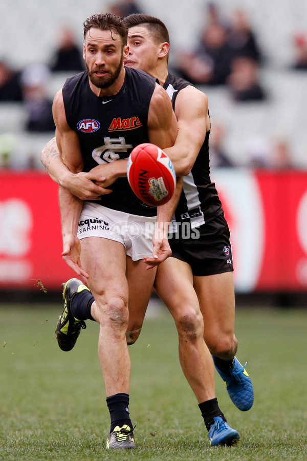 AFL 2015 Rd 19 - Collingwood v Carlton - 394215