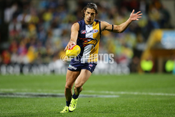 AFL 2015 Rd 19 - West Coast v Hawthorn - 394768