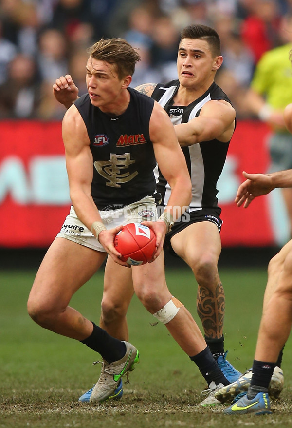 AFL 2015 Rd 19 - Collingwood v Carlton - 394344