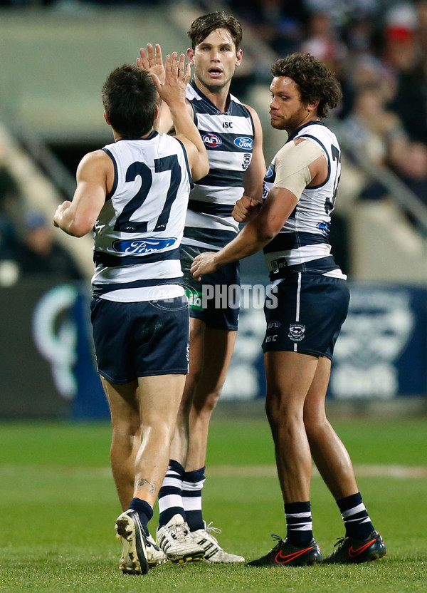 AFL 2015 Rd 19 - Geelong v Sydney - 394635