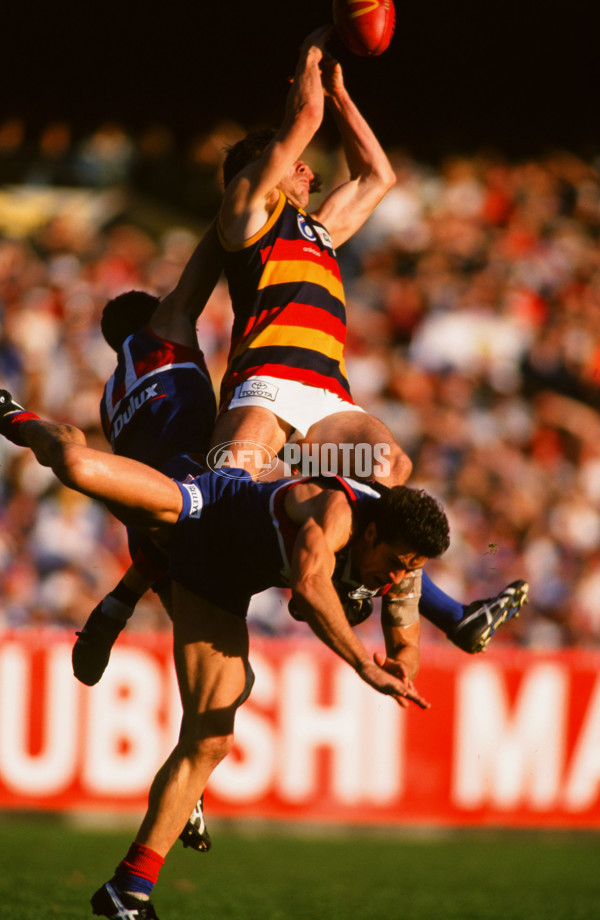 AFL 1997 1st Preliminary Final - Western Bulldogs v Adelaide - 24600