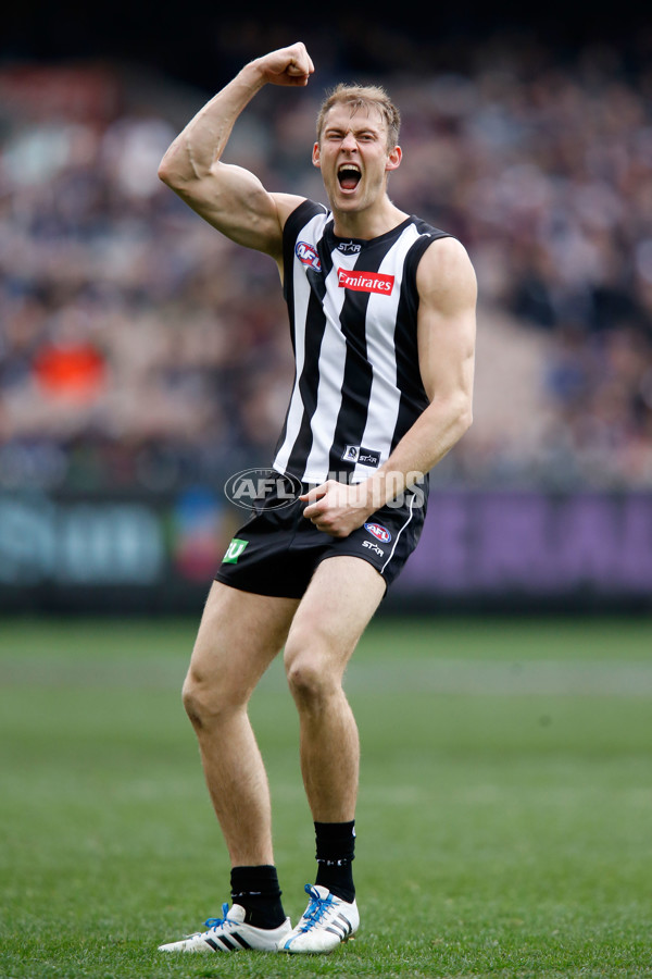 AFL 2015 Rd 19 - Collingwood v Carlton - 394184