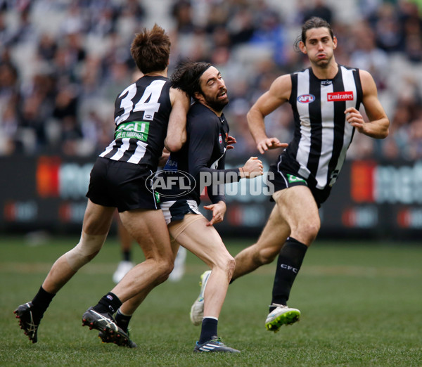 AFL 2015 Rd 19 - Collingwood v Carlton - 394394