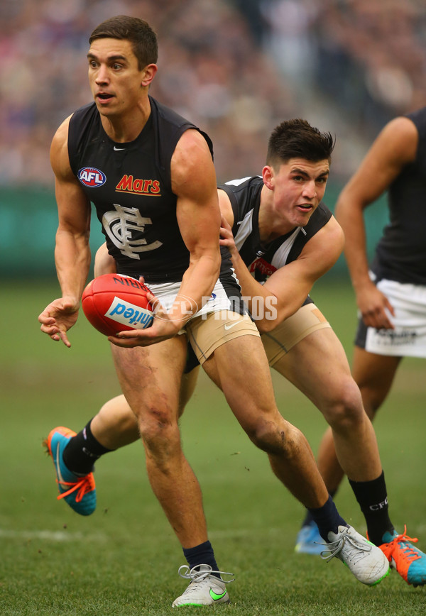 AFL 2015 Rd 19 - Collingwood v Carlton - 394183