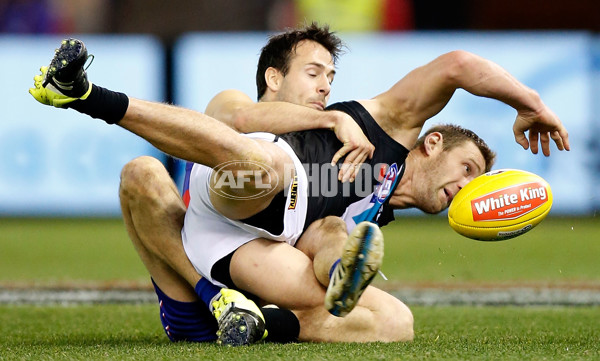 AFL 2015 Rd 19 - Western Bulldogs v Port Adelaide - 394223