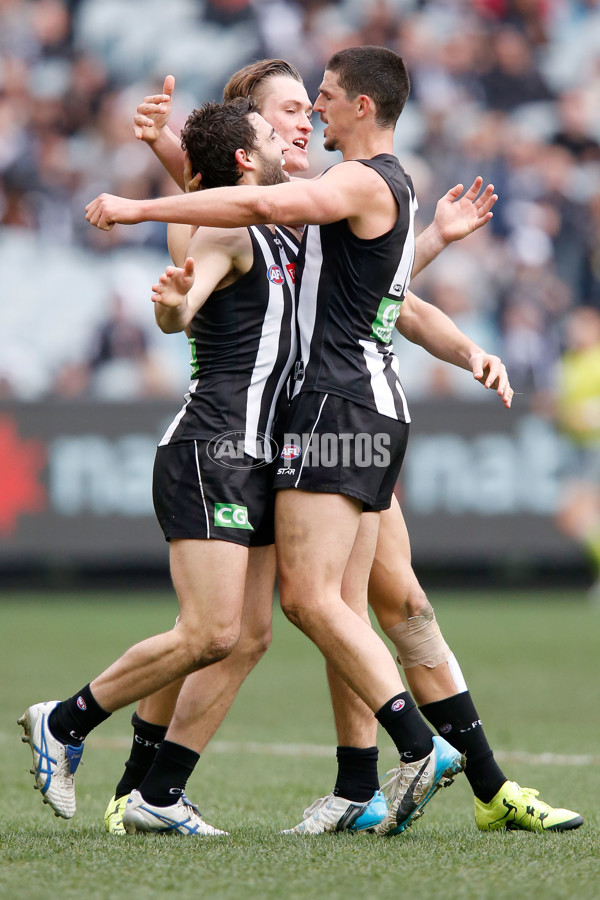 AFL 2015 Rd 19 - Collingwood v Carlton - 394196