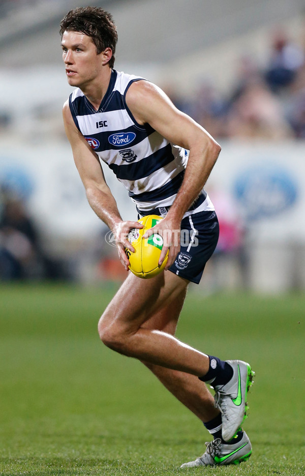 AFL 2015 Rd 19 - Geelong v Sydney - 394908