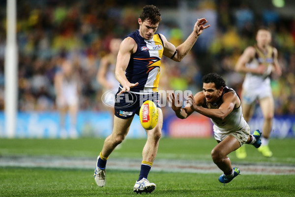 AFL 2015 Rd 19 - West Coast v Hawthorn - 394800