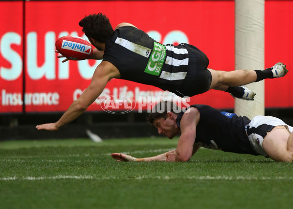 AFL 2015 Rd 19 - Collingwood v Carlton - 394345