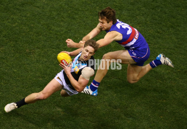 AFL 2015 Rd 19 - Western Bulldogs v Port Adelaide - 394818
