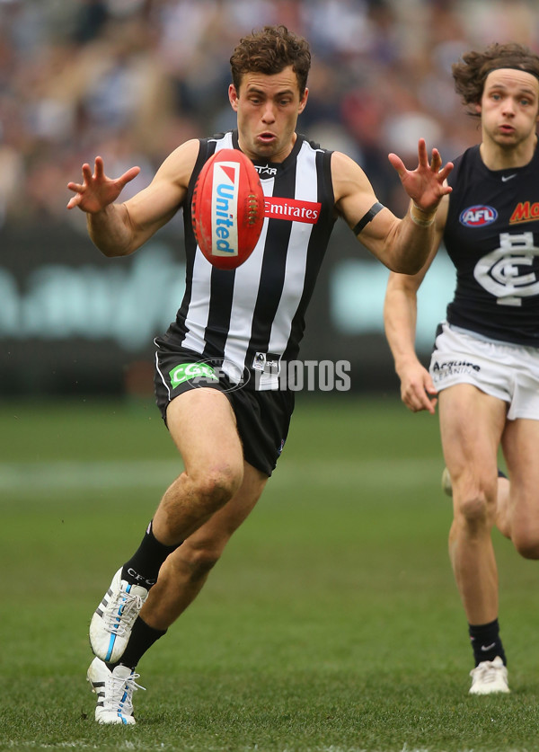 AFL 2015 Rd 19 - Collingwood v Carlton - 394279