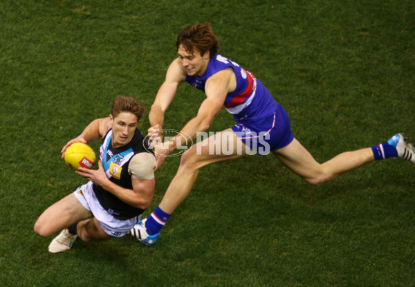 AFL 2015 Rd 19 - Western Bulldogs v Port Adelaide - 394282