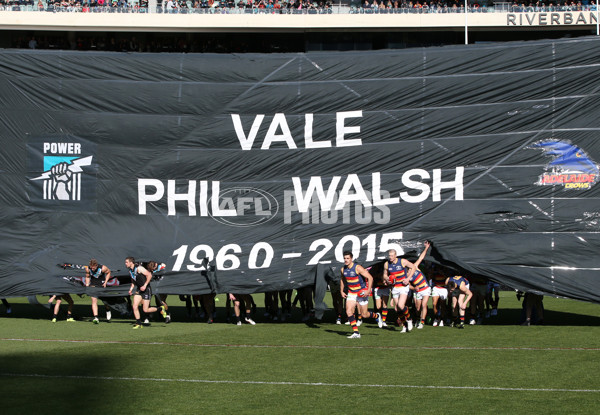 AFL 2015 Rd 16 - Port Adelaide v Adelaide - 389487