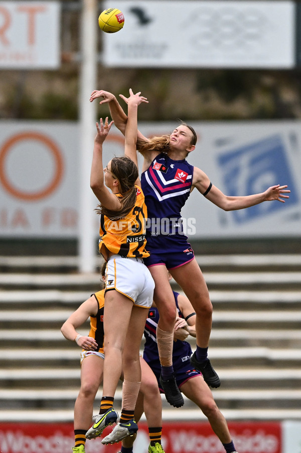 AFLW 2022 S7 Round 10 - Fremantle v Hawthorn - A-488867