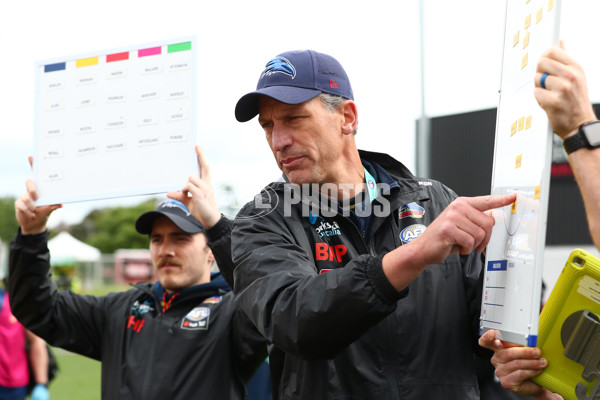 AFLW 2022 S7 Round 10 - St Kilda v Adelaide - A-508759