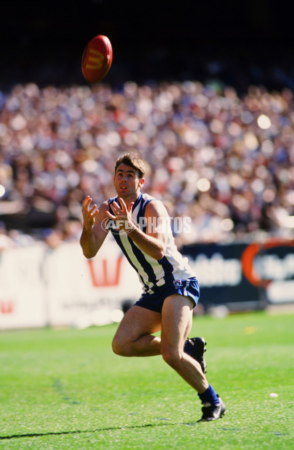 1998 AFL Grand Final - Adelaide v North Melbourne - 21976