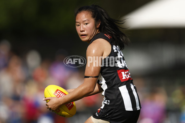 AFLW 2022 S7 Second Elimination Final - Collingwood v Western Bulldogs - A-516706