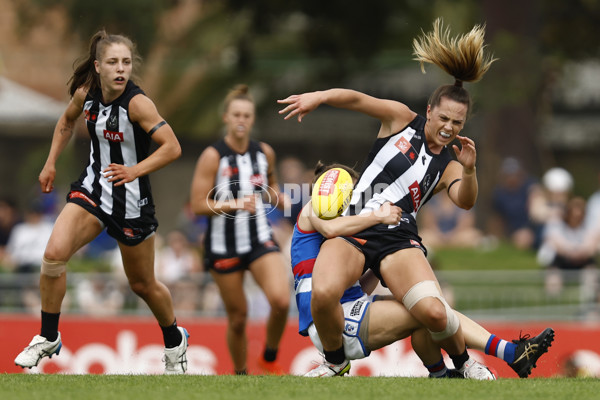 AFLW 2022 S7 Second Elimination Final - Collingwood v Western Bulldogs - A-521528