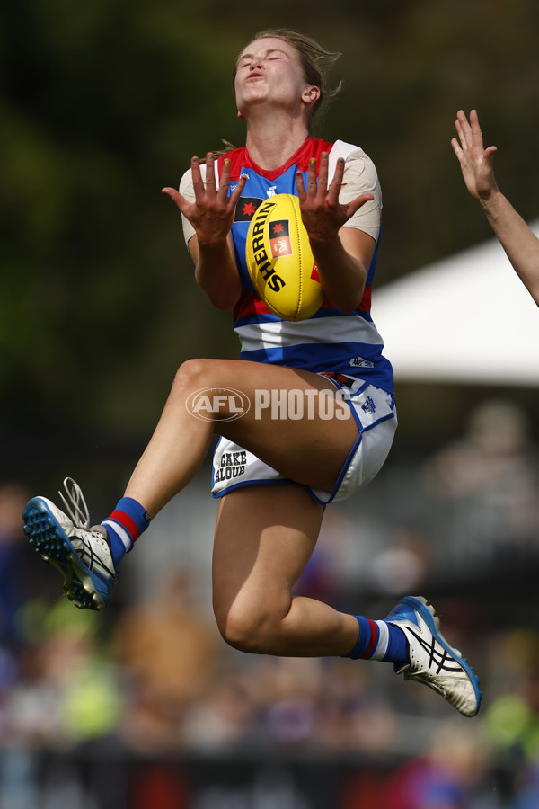 AFLW 2022 S7 Second Elimination Final - Collingwood v Western Bulldogs - A-521554