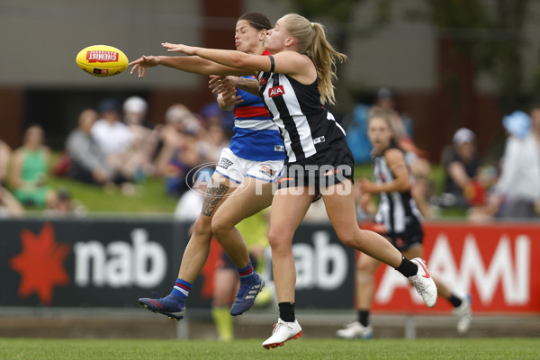 AFLW 2022 S7 Second Elimination Final - Collingwood v Western Bulldogs - A-522583