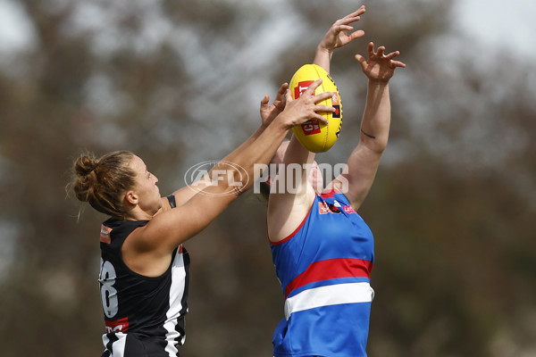 AFLW 2022 S7 Second Elimination Final - Collingwood v Western Bulldogs - A-522604