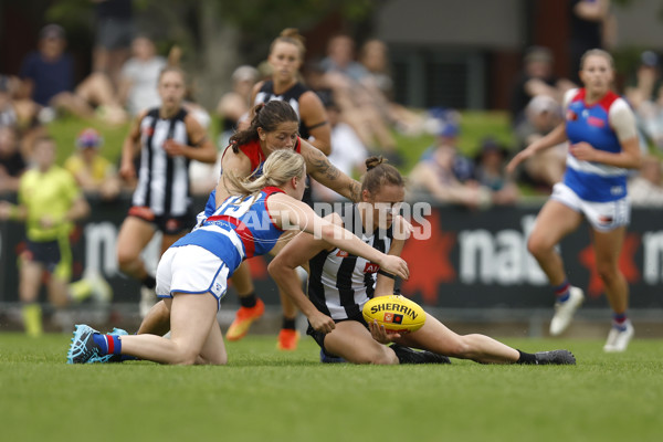 AFLW 2022 S7 Second Elimination Final - Collingwood v Western Bulldogs - A-522630