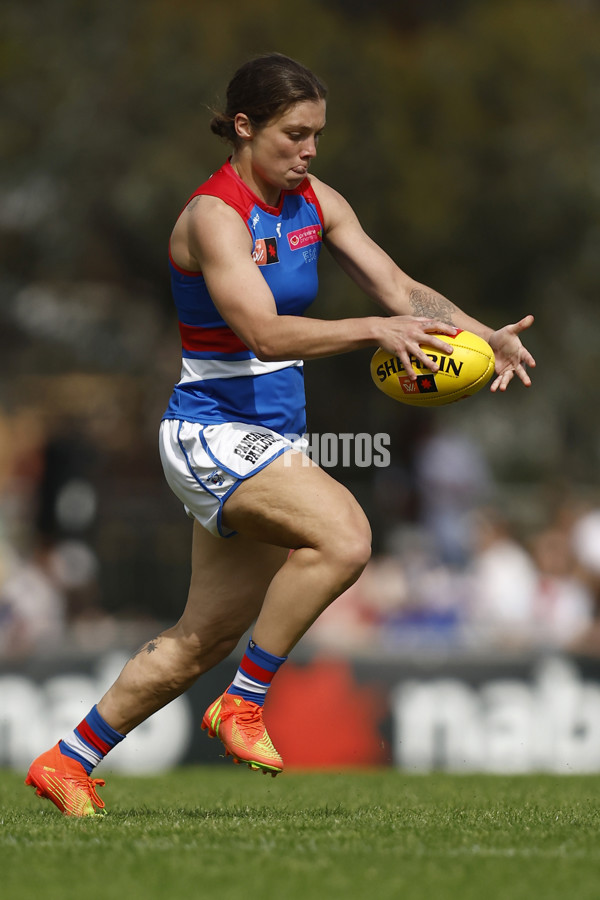 AFLW 2022 S7 Second Elimination Final - Collingwood v Western Bulldogs - A-522635