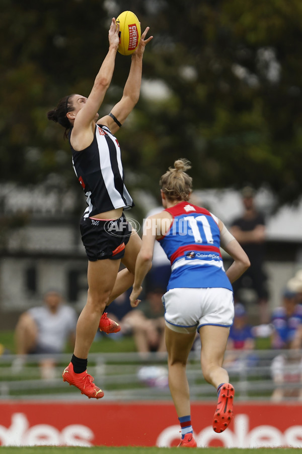 AFLW 2022 S7 Second Elimination Final - Collingwood v Western Bulldogs - A-523816