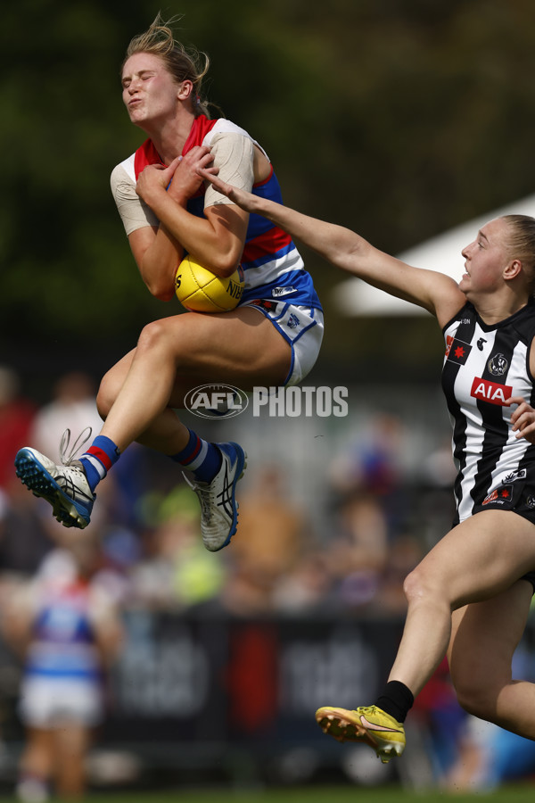 AFLW 2022 S7 Second Elimination Final - Collingwood v Western Bulldogs - A-525037