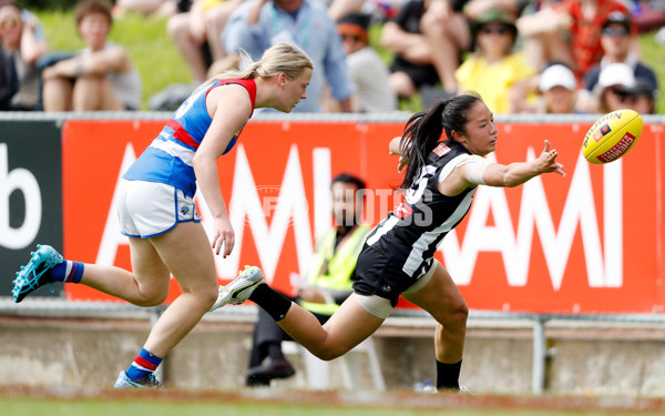 AFLW 2022 S7 Second Elimination Final - Collingwood v Western Bulldogs - A-526430