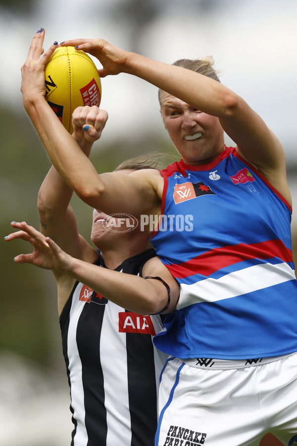 AFLW 2022 S7 Second Elimination Final - Collingwood v Western Bulldogs - A-529085