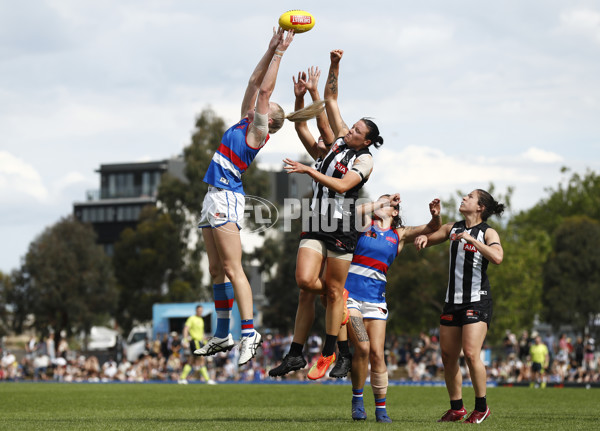 AFLW 2022 S7 Second Elimination Final - Collingwood v Western Bulldogs - A-529607
