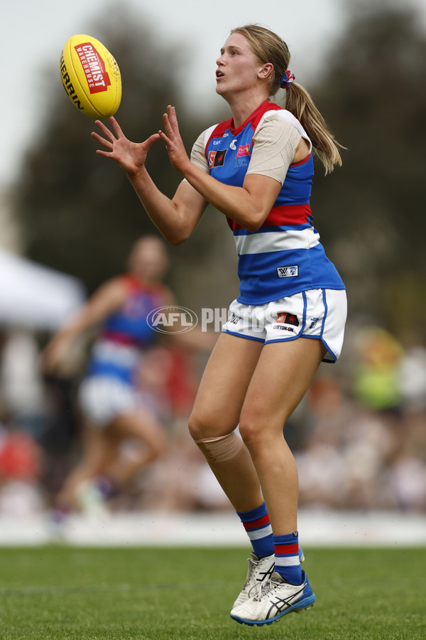 AFLW 2022 S7 Second Elimination Final - Collingwood v Western Bulldogs - A-529608