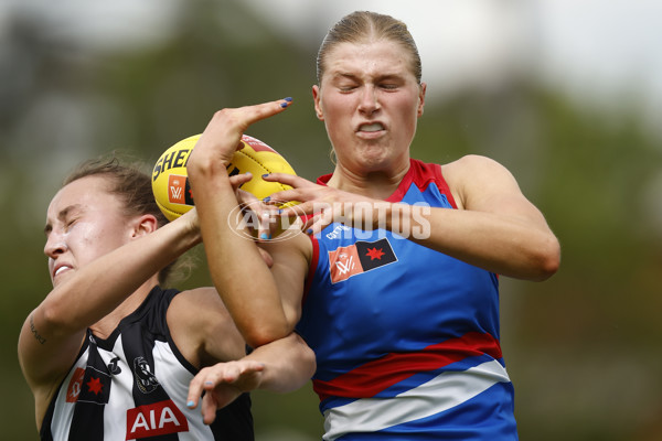 AFLW 2022 S7 Second Elimination Final - Collingwood v Western Bulldogs - A-531670